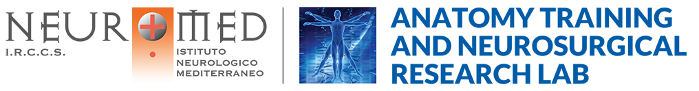 Anatomy Training and Neurosurgical Research Lab